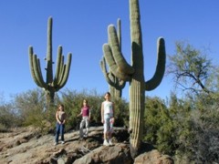 desert hike with saguaros